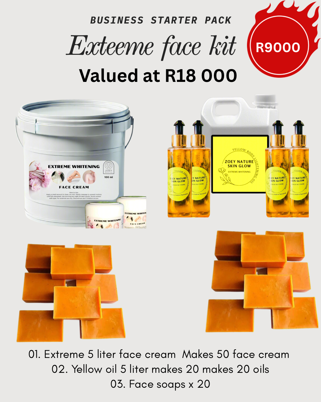 Extreme Face kit busines starter kit